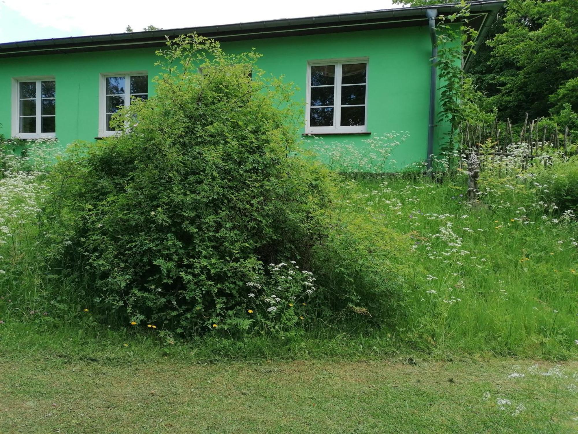 Kräuterbaude Hotel Saupsdorf Buitenkant foto