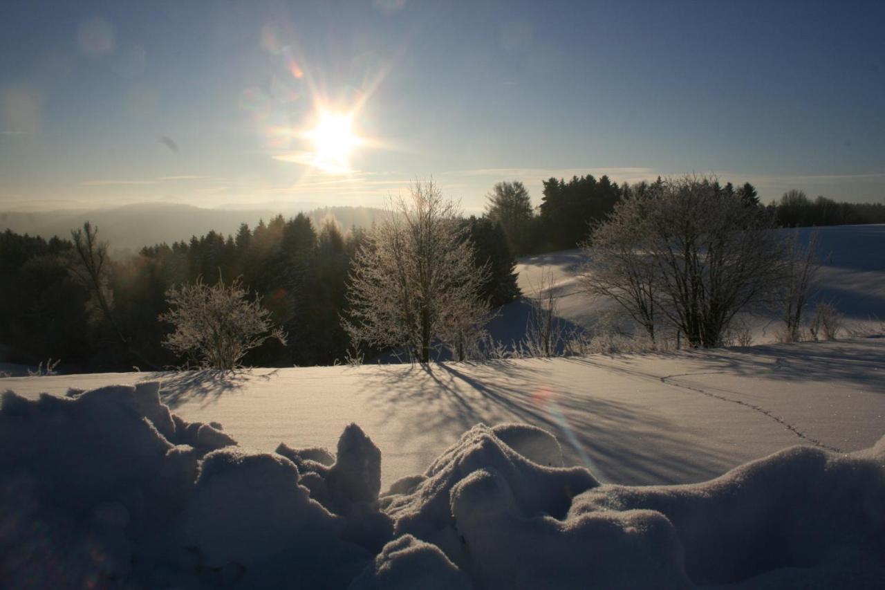Kräuterbaude Hotel Saupsdorf Buitenkant foto